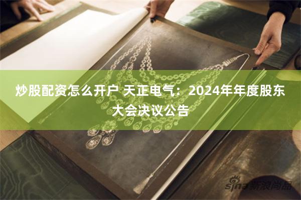 炒股配资怎么开户 天正电气：2024年年度股东大会决议公告